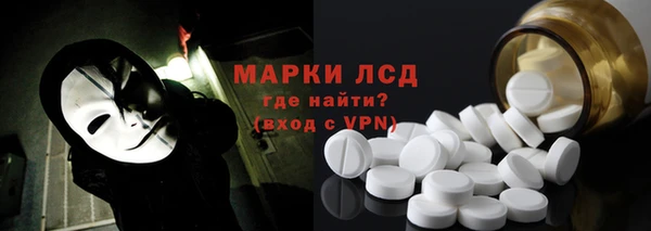 ПСИЛОЦИБИНОВЫЕ ГРИБЫ Щигры