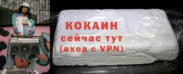 шишки Щёлкино